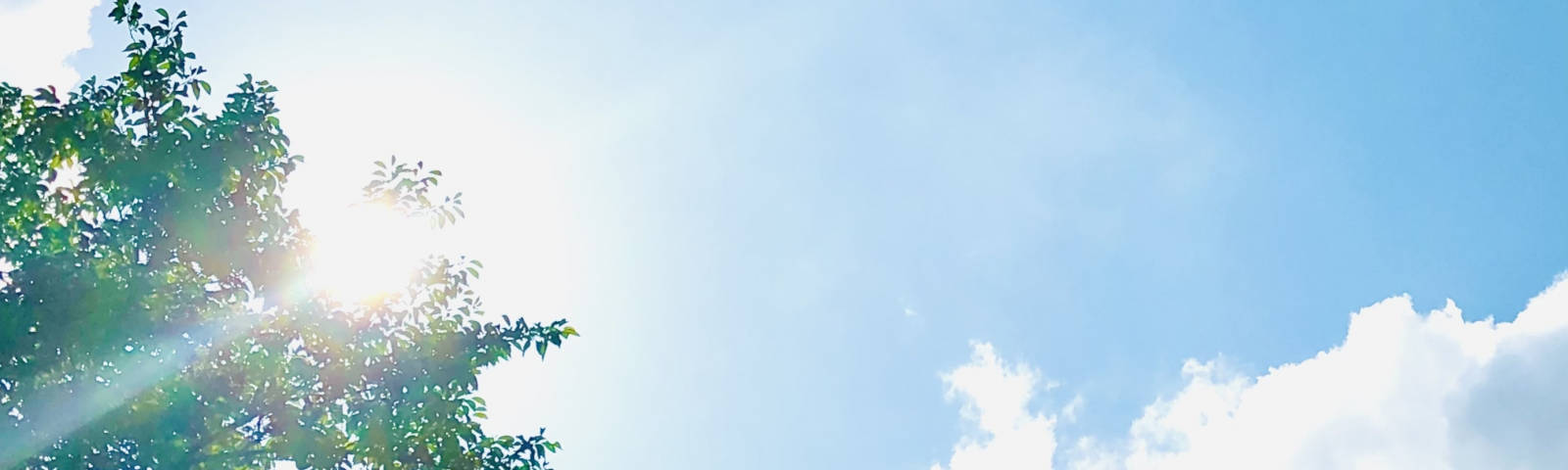 コロナウイルス感染症予防対策イメージ1