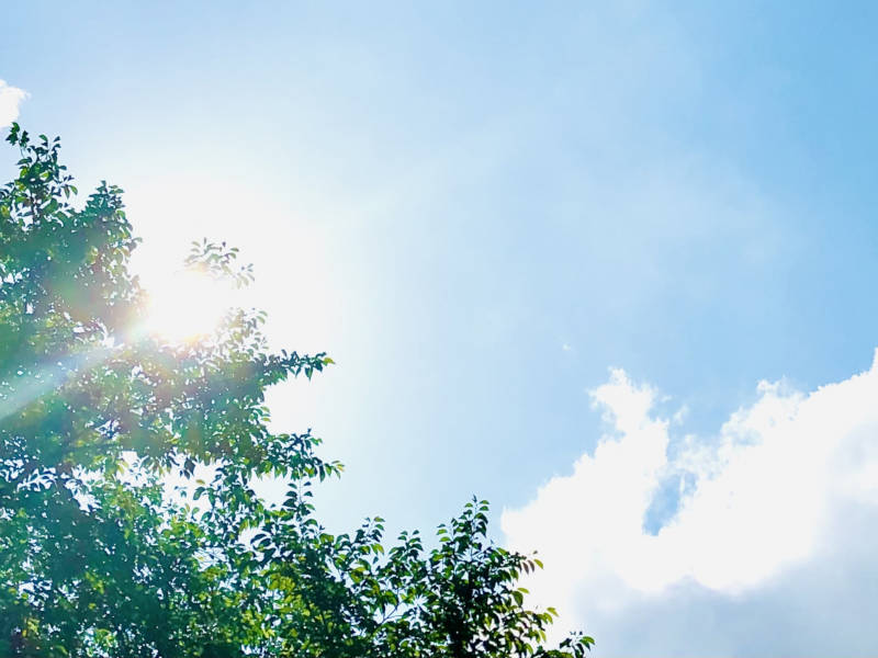 コロナウイルス感染症予防対策モバイルイメージ1